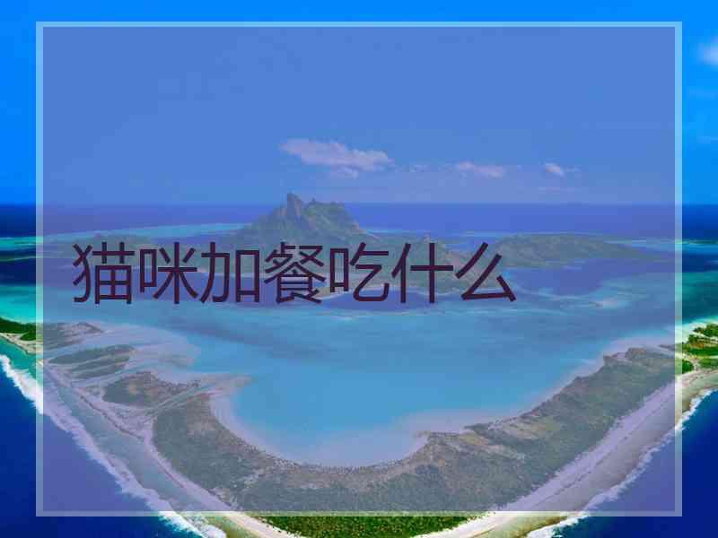 猫咪加餐吃什么