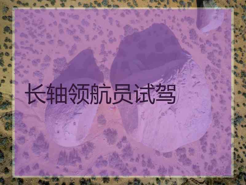 长轴领航员试驾