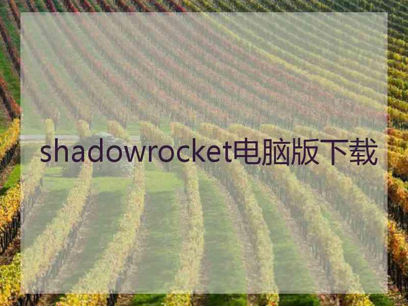 shadowrocket电脑版下载