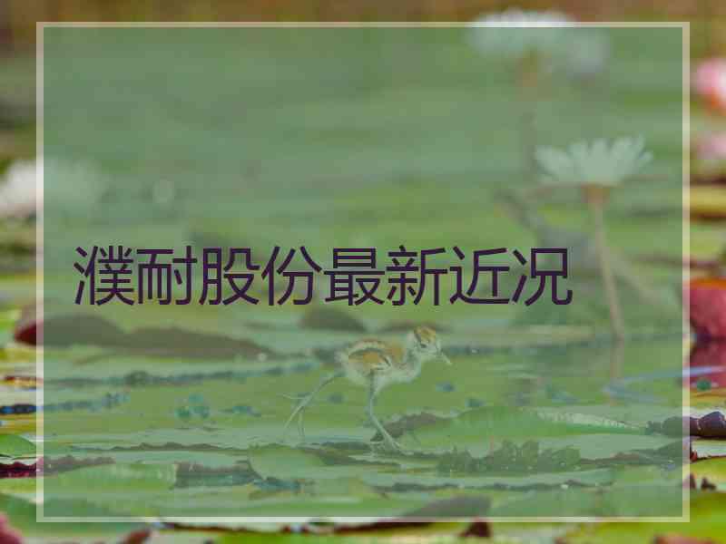 濮耐股份最新近况