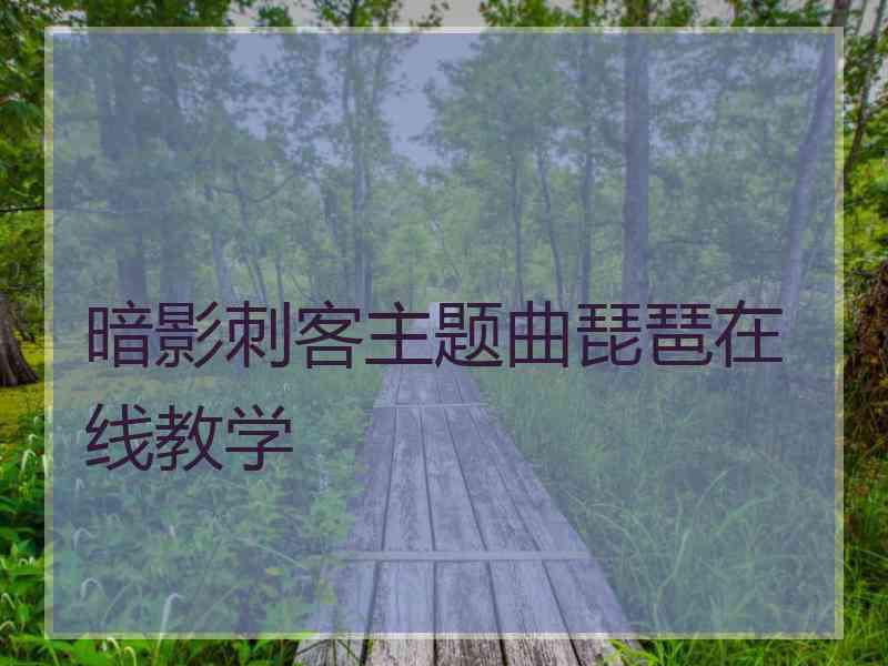 暗影刺客主题曲琵琶在线教学