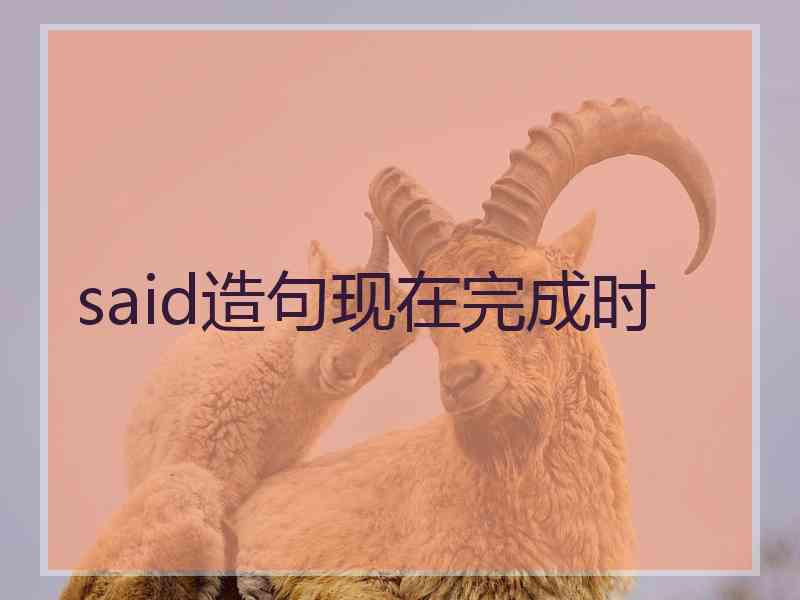 said造句现在完成时