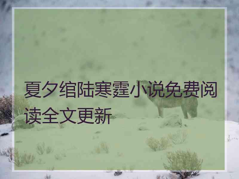 夏夕绾陆寒霆小说免费阅读全文更新