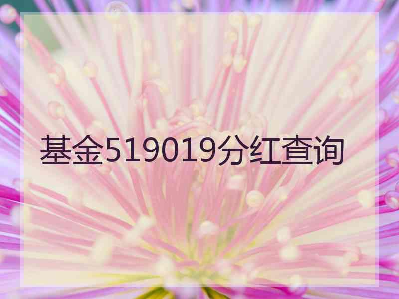 基金519019分红查询