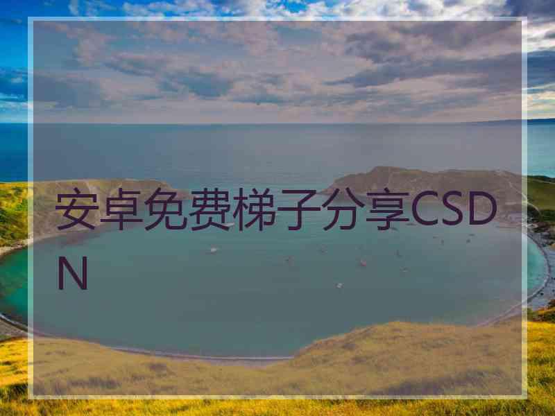 安卓免费梯子分享CSDN