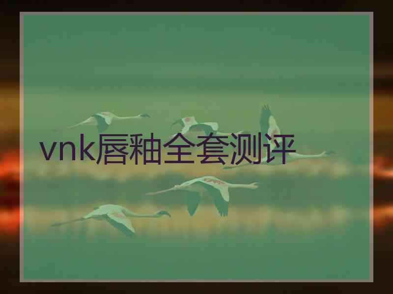 vnk唇釉全套测评