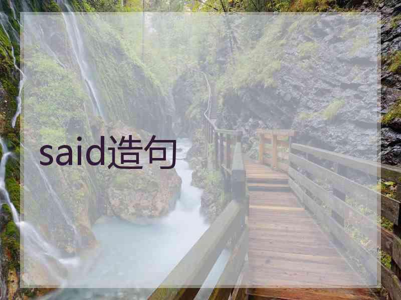 said造句