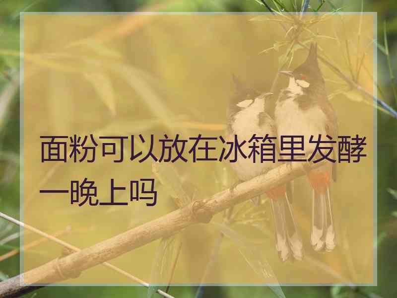 面粉可以放在冰箱里发酵一晚上吗