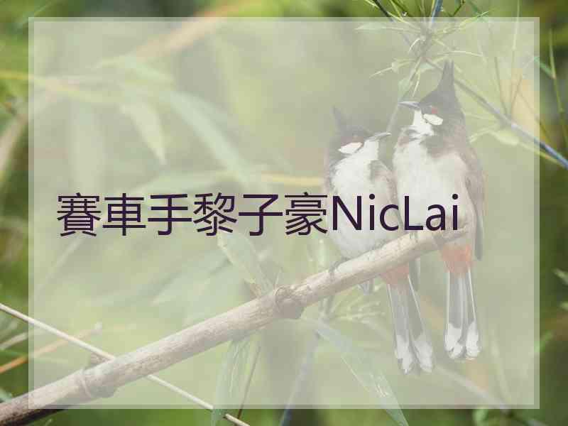 賽車手黎子豪NicLai