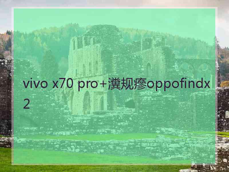 vivo x70 pro+瀵规瘮oppofindx2