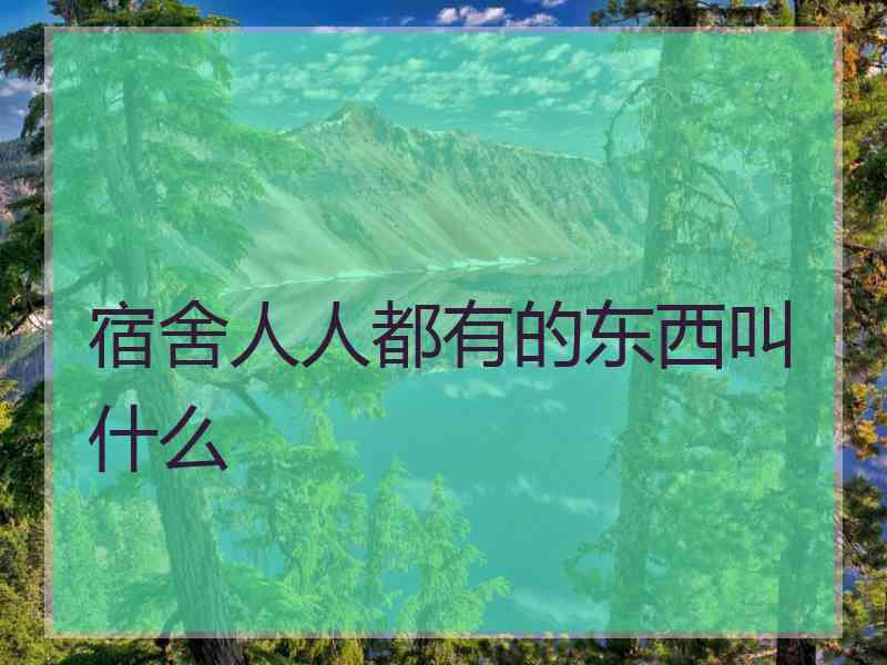 宿舍人人都有的东西叫什么