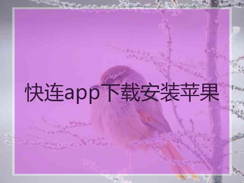快连app下载安装苹果