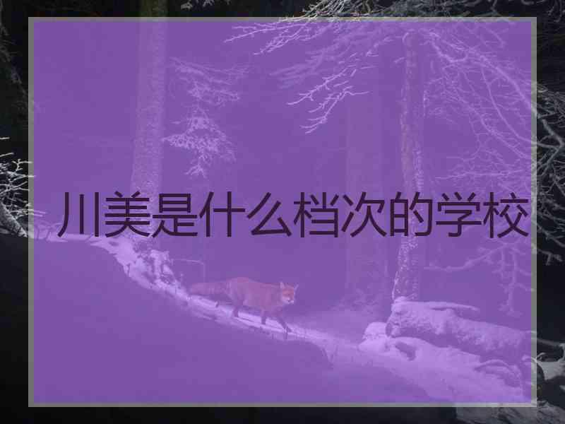 川美是什么档次的学校