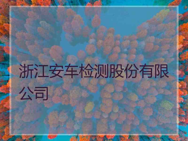 浙江安车检测股份有限公司