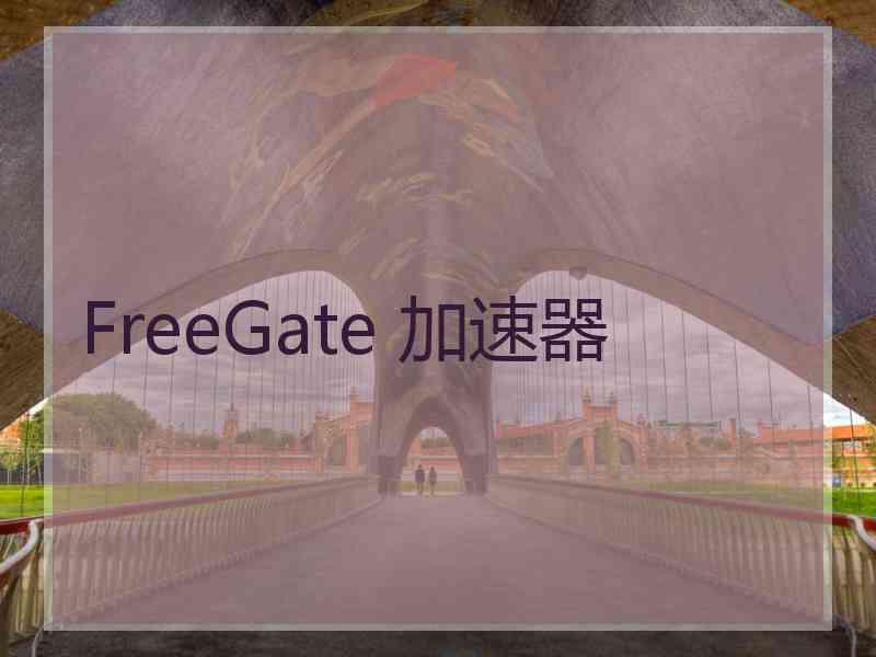 FreeGate 加速器