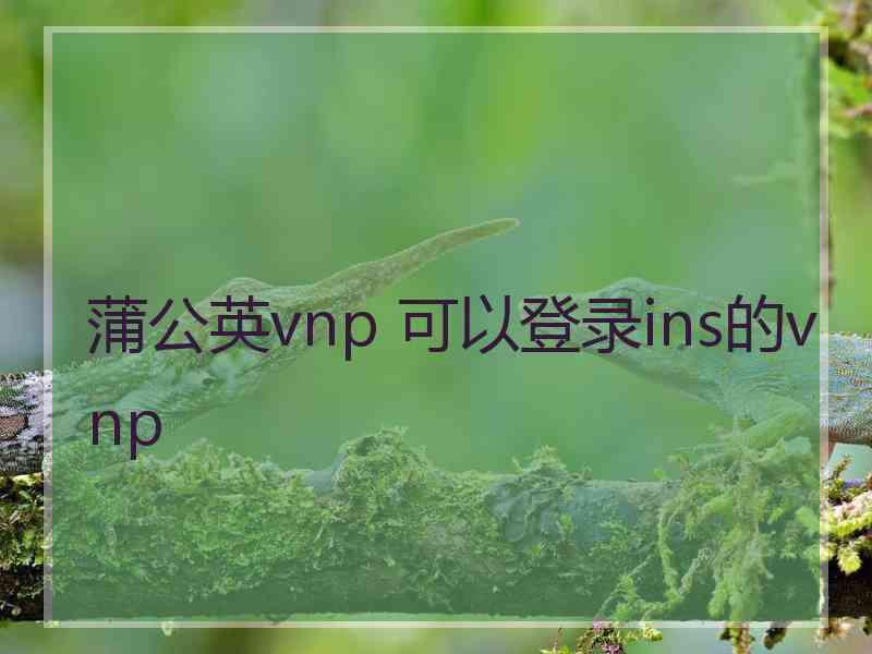 蒲公英vnp 可以登录ins的vnp