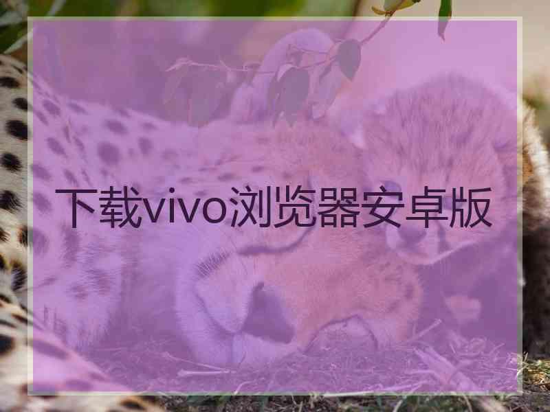 下载vivo浏览器安卓版