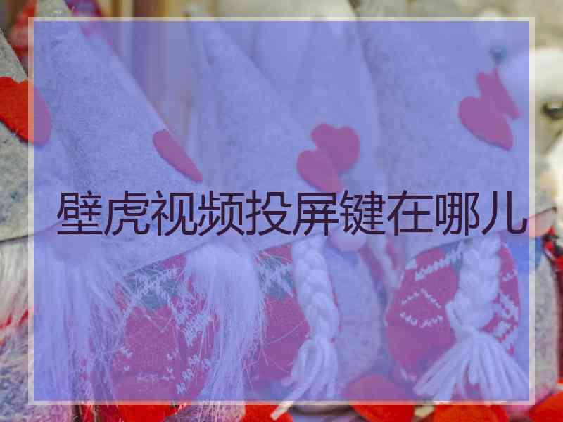 壁虎视频投屏键在哪儿