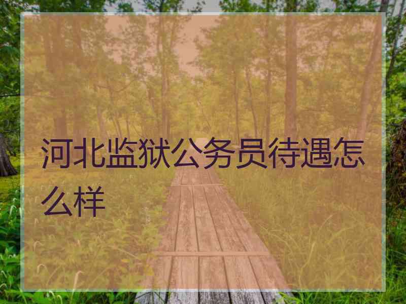 河北监狱公务员待遇怎么样