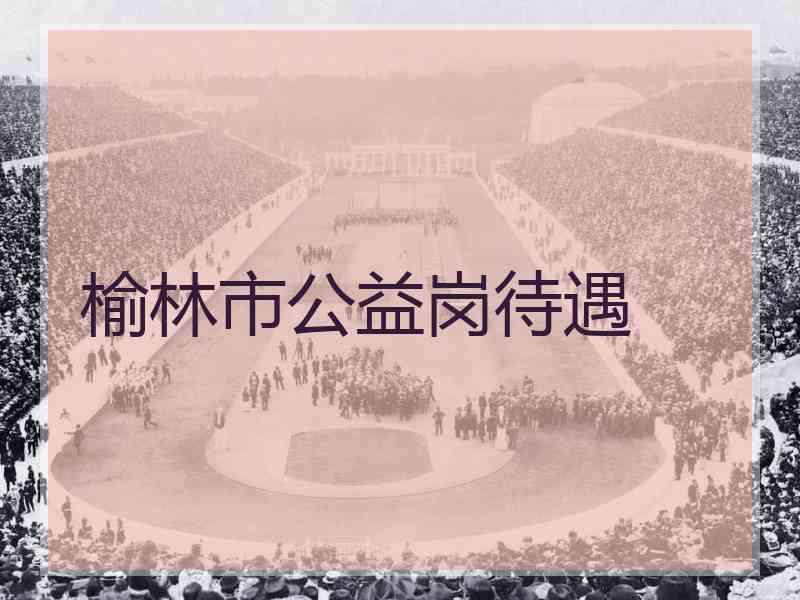 榆林市公益岗待遇