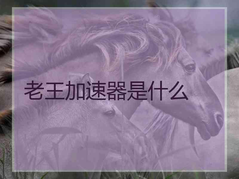 老王加速器是什么