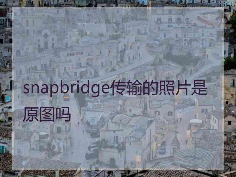 snapbridge传输的照片是原图吗