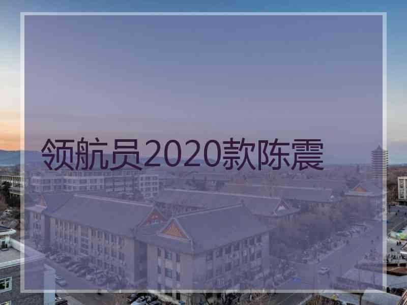 领航员2020款陈震