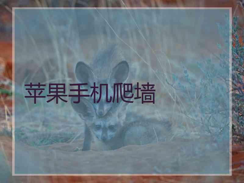 苹果手机爬墙