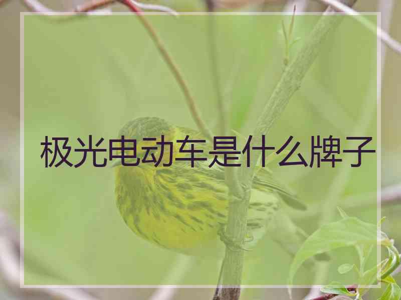极光电动车是什么牌子