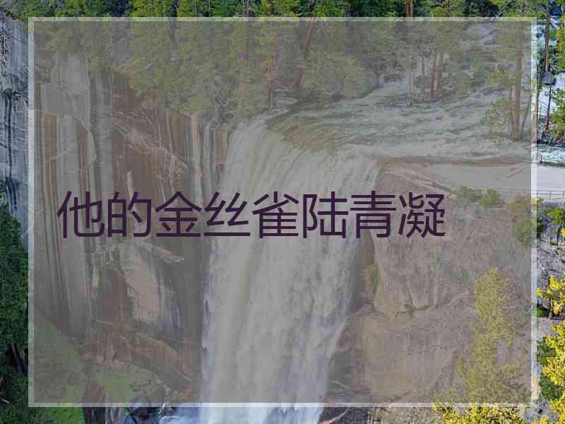 他的金丝雀陆青凝