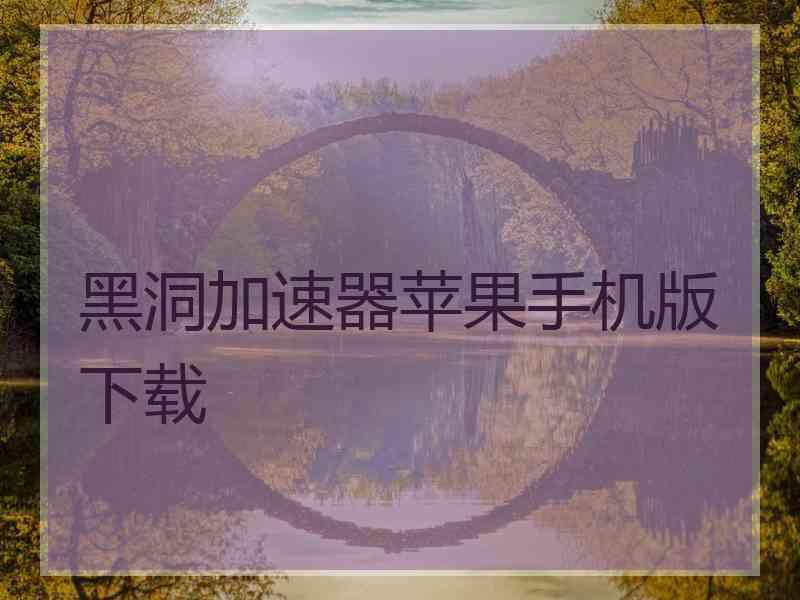 黑洞加速器苹果手机版下载