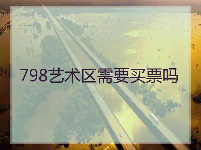 798艺术区需要买票吗