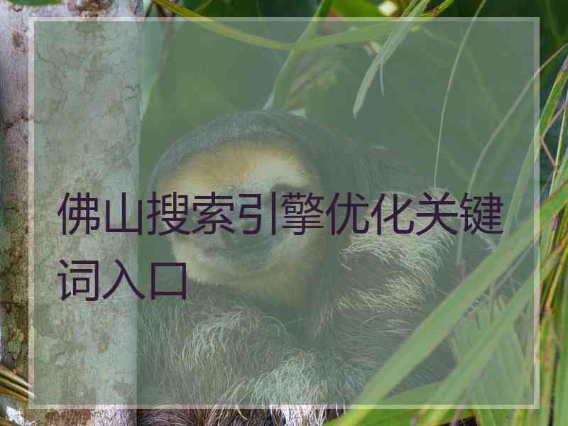 佛山搜索引擎优化关键词入口