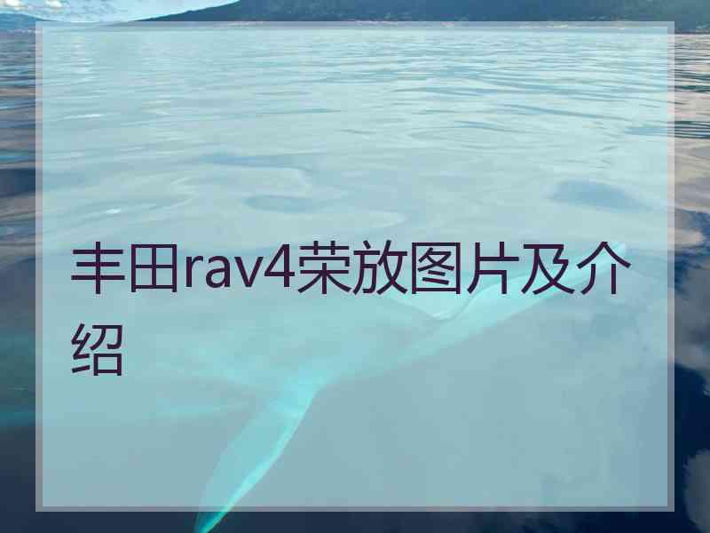 丰田rav4荣放图片及介绍