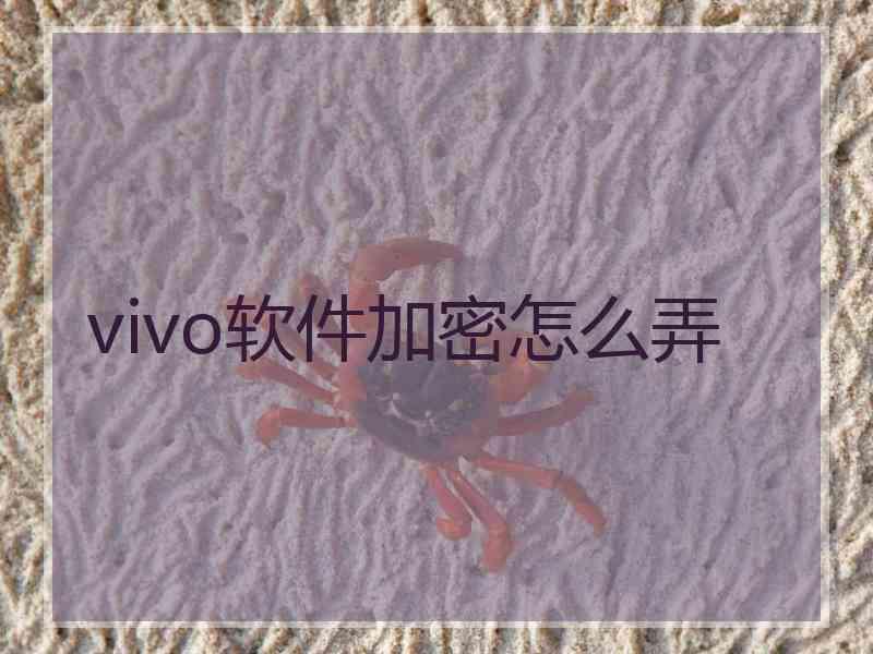 vivo软件加密怎么弄