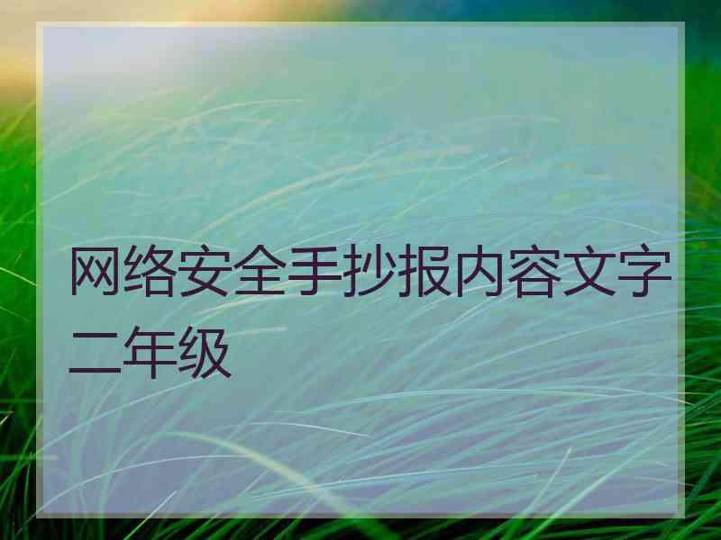 网络安全手抄报内容文字二年级