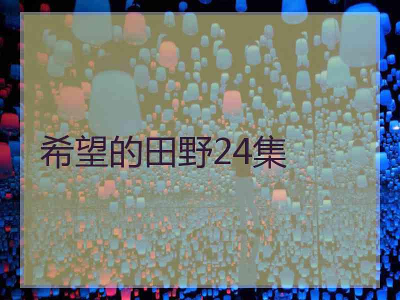 希望的田野24集