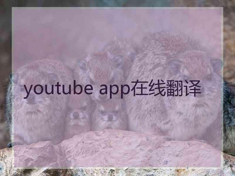 youtube app在线翻译