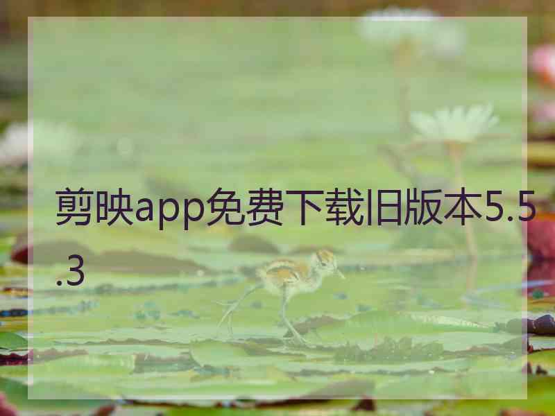 剪映app免费下载旧版本5.5.3