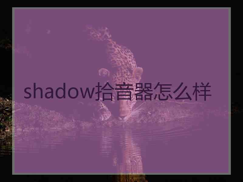 shadow拾音器怎么样