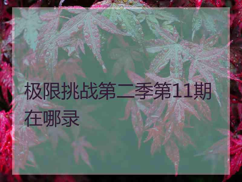 极限挑战第二季第11期在哪录