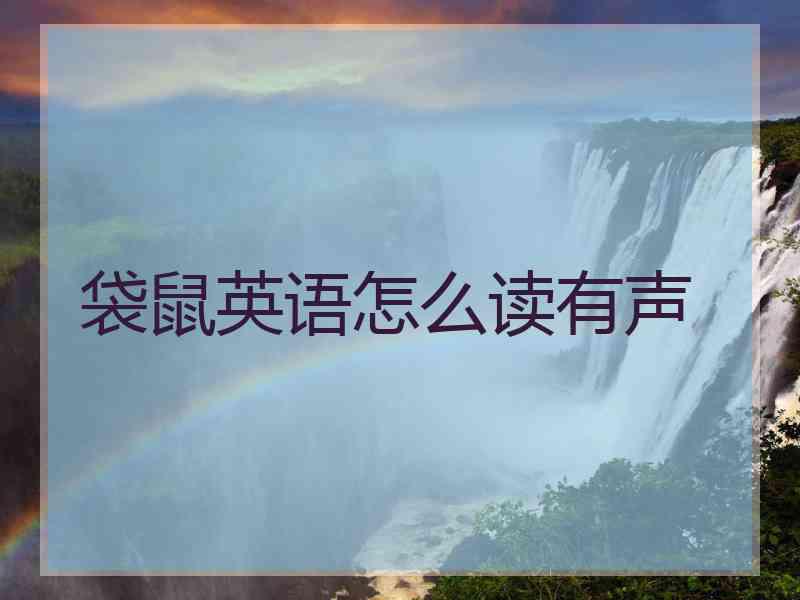 袋鼠英语怎么读有声
