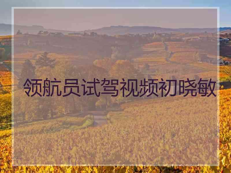 领航员试驾视频初晓敏