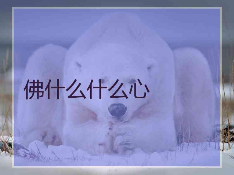 佛什么什么心