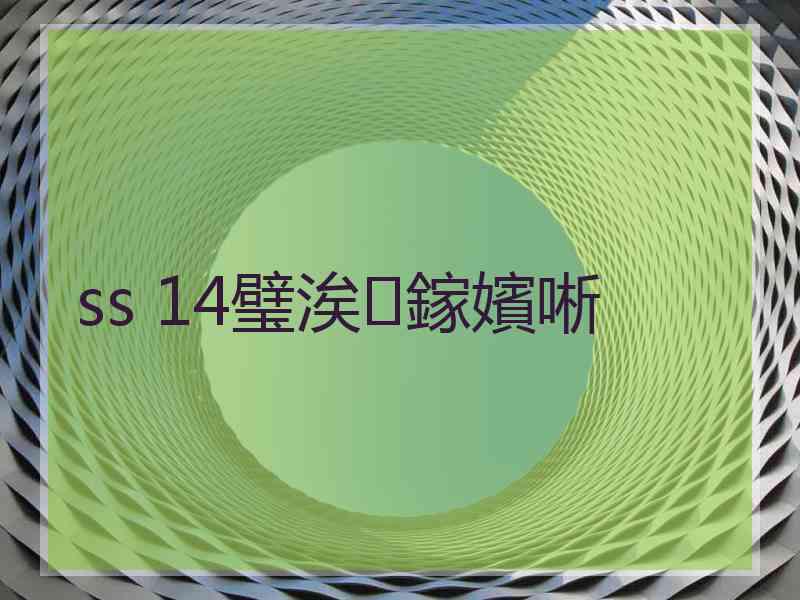 ss 14璧涘鎵嬪唽