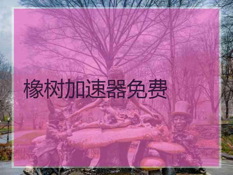 橡树加速器免费