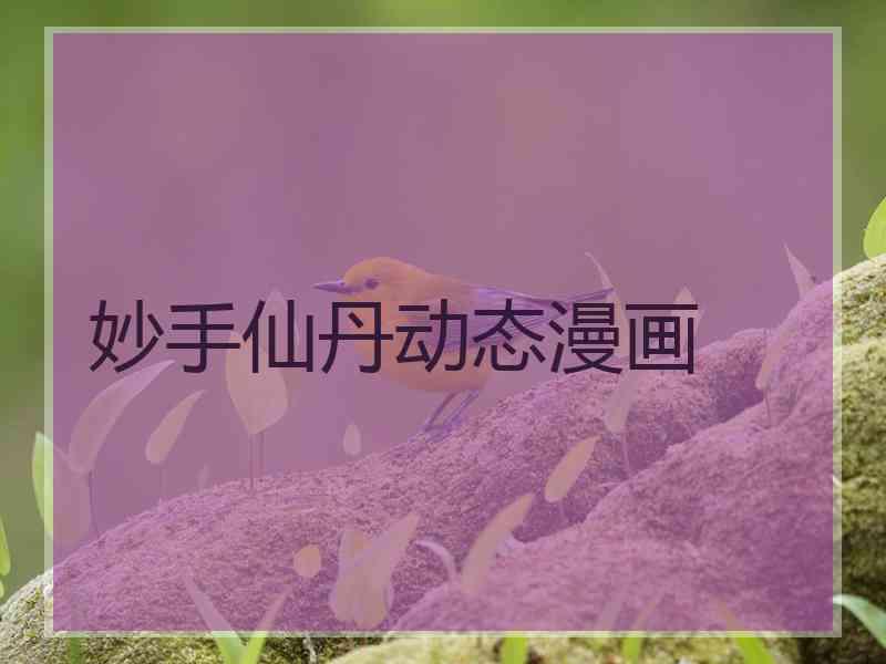 妙手仙丹动态漫画