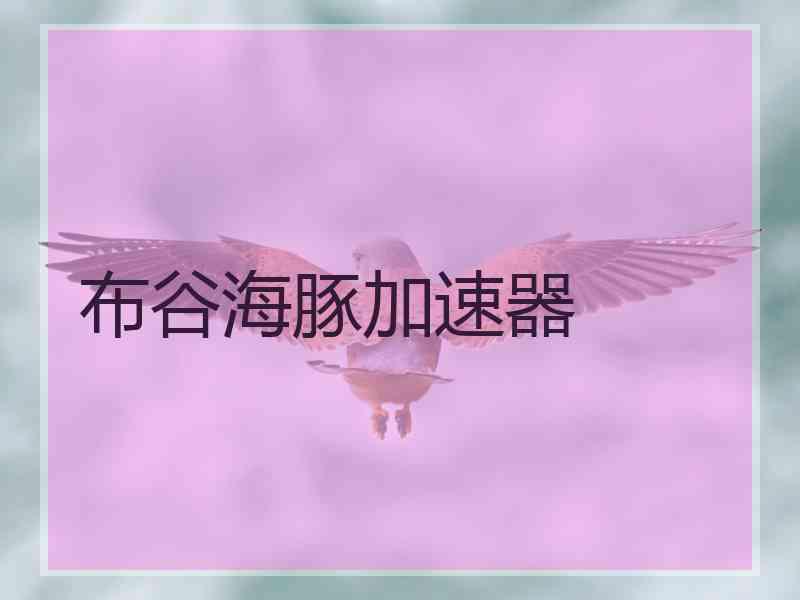 布谷海豚加速器
