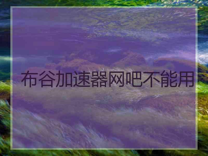 布谷加速器网吧不能用
