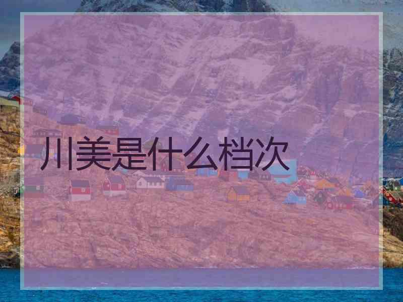 川美是什么档次